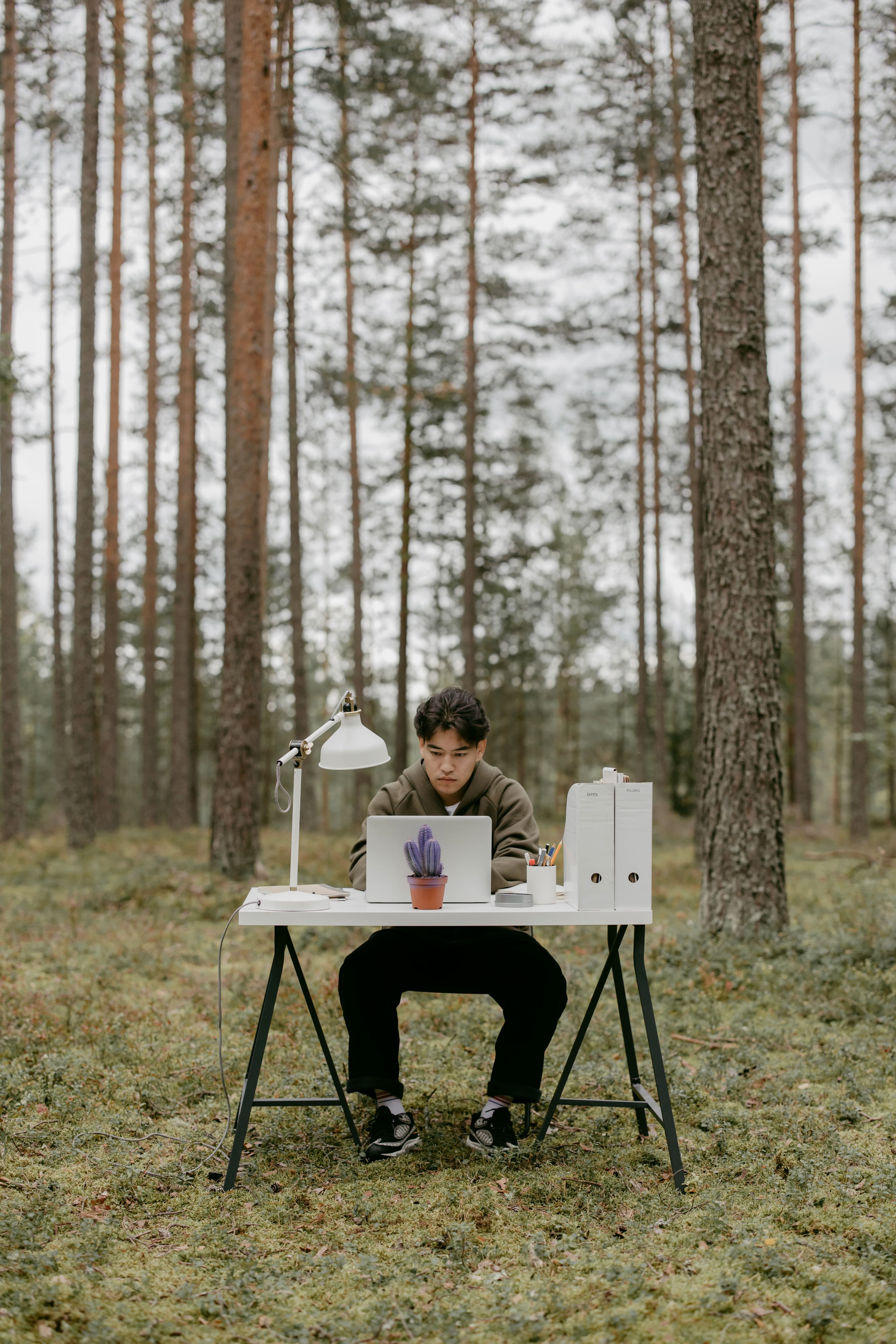Un dirigeant travaille seul, à son bureau au milieu d’une forêt