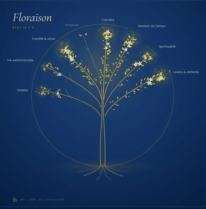 Sève — votre arbre à 8 branches